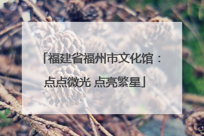 福建省福州市文化馆：点点微光 点亮繁星