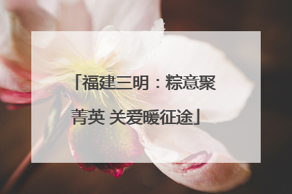 福建三明：粽意聚菁英 关爱暖征途
