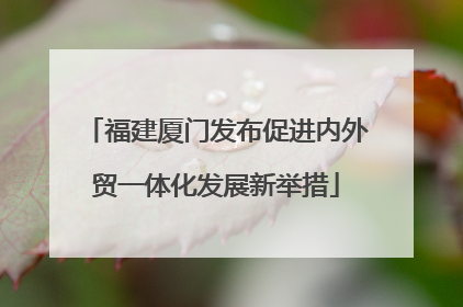 福建厦门发布促进内外贸一体化发展新举措