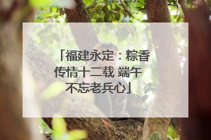 福建永定：粽香传情十二载 端午不忘老兵心