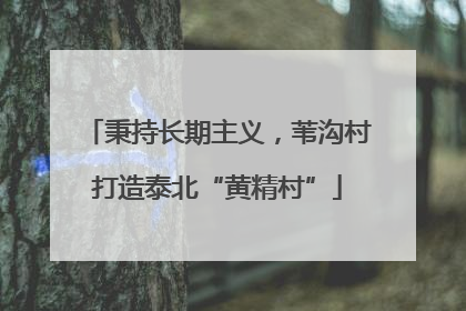 秉持长期主义，苇沟村打造泰北“黄精村”