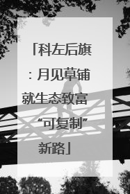 科左后旗：月见草铺就生态致富“可复制”新路