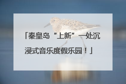 秦皇岛“上新”一处沉浸式音乐度假乐园！