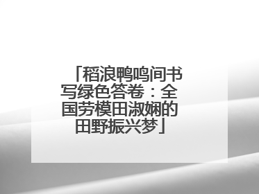 稻浪鸭鸣间书写绿色答卷：全国劳模田淑娴的田野振兴梦