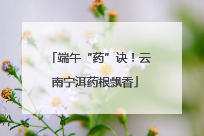 端午“药”诀！云南宁洱药根飘香