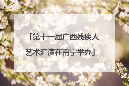 第十一届广西残疾人艺术汇演在南宁举办