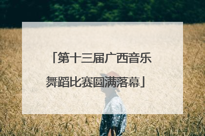 第十三届广西音乐舞蹈比赛圆满落幕