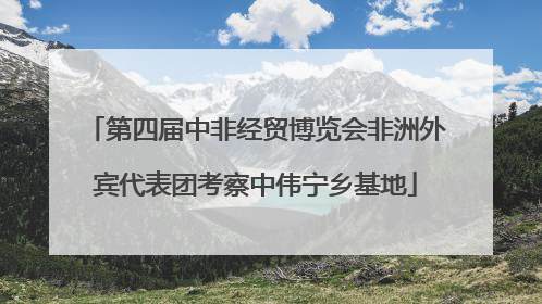 第四届中非经贸博览会非洲外宾代表团考察中伟宁乡基地