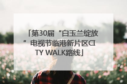 第30届“白玉兰绽放”电视节临港新片区CITY WALK路线