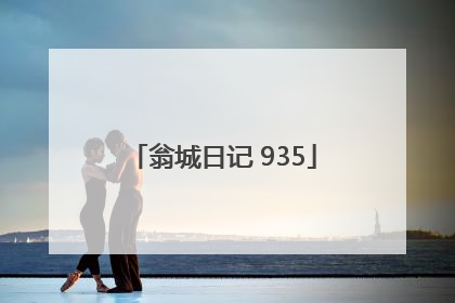 翁城日记 935