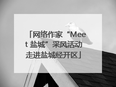 网络作家“Meet 盐城”采风活动走进盐城经开区
