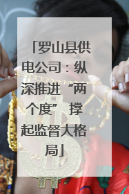 罗山县供电公司：纵深推进“两个度” 撑起监督大格局