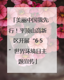 美丽中国我先行！平顶山高新区开展“6·5”世界环境日主题宣传