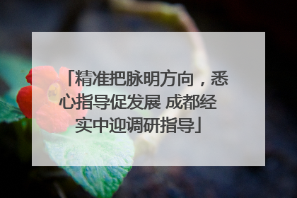精准把脉明方向，悉心指导促发展 成都经实中迎调研指导