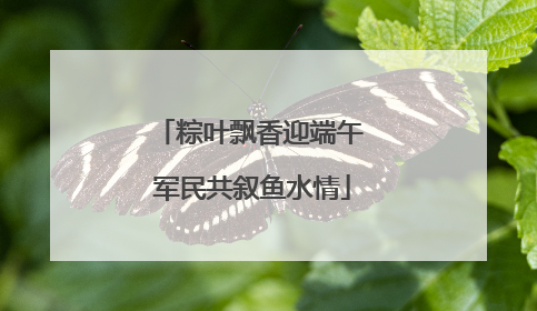 粽叶飘香迎端午 军民共叙鱼水情