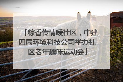 粽香传情暖社区，中建四局环境科技公司举办社区老年趣味运动会