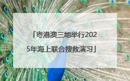粤港澳三地举行2025年海上联合搜救演习