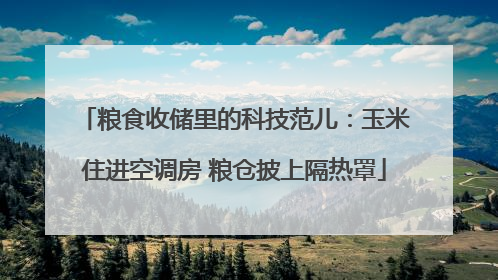 粮食收储里的科技范儿：玉米住进空调房 粮仓披上隔热罩