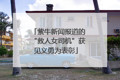 紫牛新闻报道的“救人女司机”获见义勇为表彰