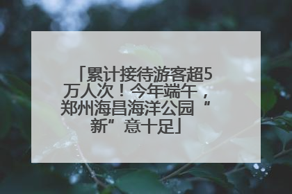 累计接待游客超5万人次！今年端午，郑州海昌海洋公园“新”意十足