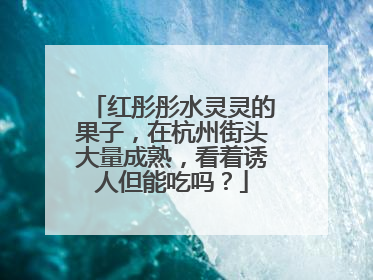 红彤彤水灵灵的果子，在杭州街头大量成熟，看着诱人但能吃吗？