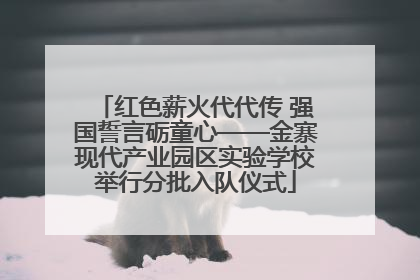 红色薪火代代传 强国誓言砺童心——金寨现代产业园区实验学校举行分批入队仪式