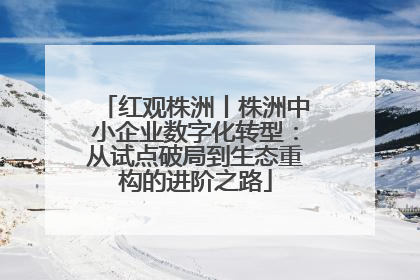 红观株洲丨株洲中小企业数字化转型：从试点破局到生态重构的进阶之路