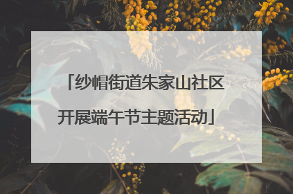 纱帽街道朱家山社区开展端午节主题活动