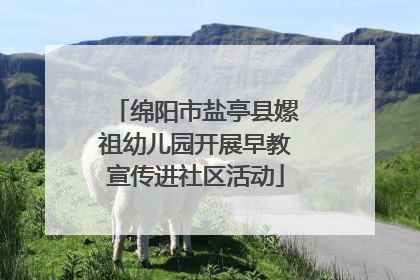 绵阳市盐亭县嫘祖幼儿园开展早教宣传进社区活动