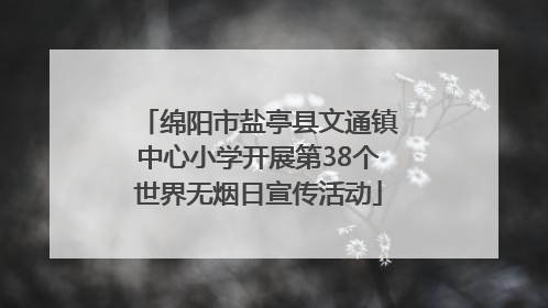 绵阳市盐亭县文通镇中心小学开展第38个世界无烟日宣传活动