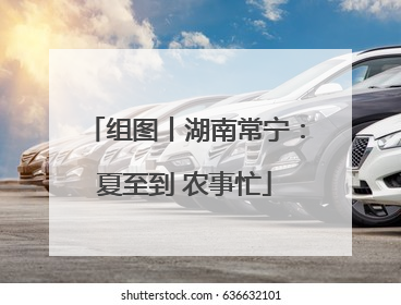 组图丨湖南常宁：夏至到 农事忙