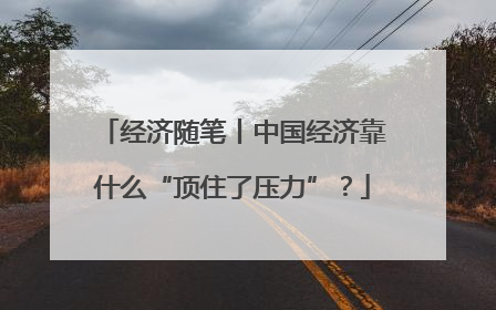 经济随笔丨中国经济靠什么“顶住了压力”？