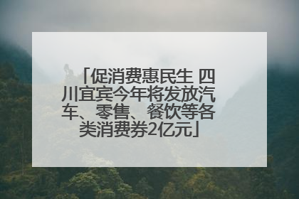 促消费惠民生 四川宜宾今年将发放汽车、零售、餐饮等各类消费券2亿元