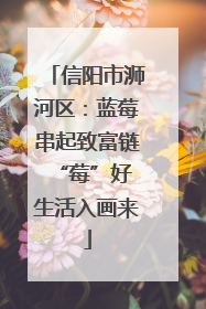 信阳市浉河区：蓝莓串起致富链 “莓”好生活入画来