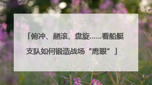 俯冲、翻滚、盘旋……看船艇支队如何锻造战场“鹰眼”