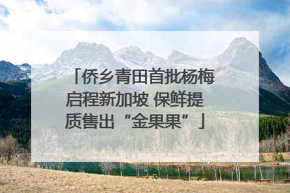 侨乡青田首批杨梅启程新加坡 保鲜提质售出“金果果”