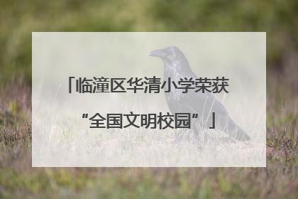 临潼区华清小学荣获“全国文明校园”
