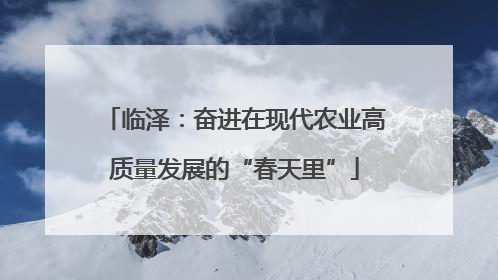 临泽：奋进在现代农业高质量发展的“春天里”