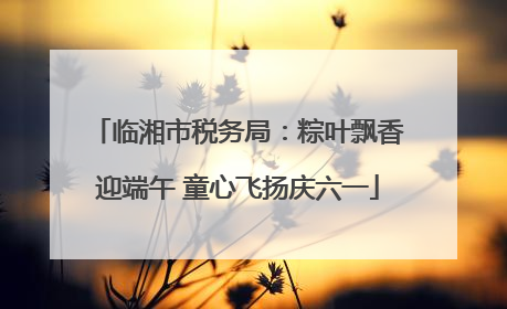 临湘市税务局：粽叶飘香迎端午 童心飞扬庆六一