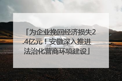 为企业挽回经济损失2.4亿元！安徽深入推进法治化营商环境建设