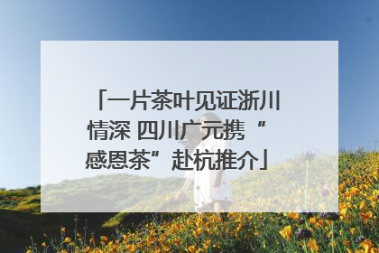 一片茶叶见证浙川情深 四川广元携“感恩茶”赴杭推介