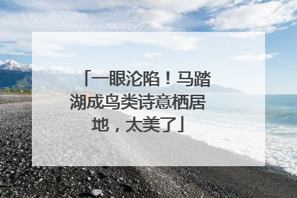 一眼沦陷！马踏湖成鸟类诗意栖居地，太美了