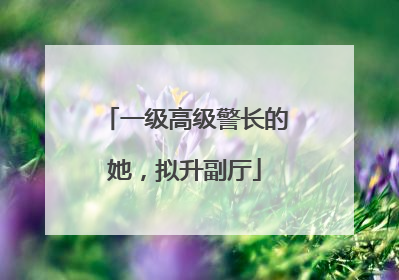 一级高级警长的她，拟升副厅