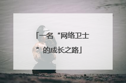一名“网络卫士”的成长之路