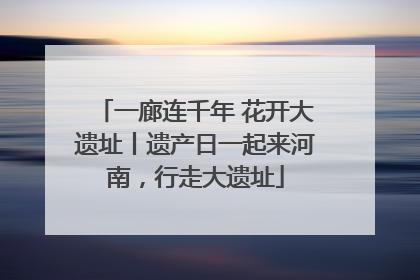 一廊连千年 花开大遗址丨遗产日一起来河南，行走大遗址
