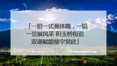 一招一式强体魄，一镜一景展风采 积玉桥街道双课赋能楼宇党建