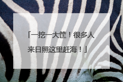 一挖一大筐！很多人来日照这里赶海！