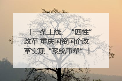 一条主线、“四性”改革 重庆国资国企改革实现“系统重塑”