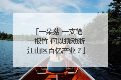 一朵菇 一支笔 一根竹 何以撬动浙江山区百亿产业？