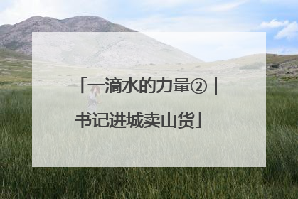 一滴水的力量②｜书记进城卖山货
